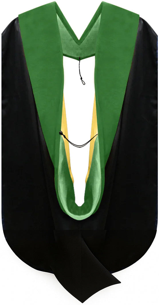 Doctor of Medicine Hood - Kelly Green & Gold