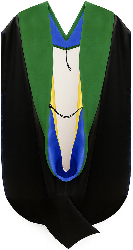 Doctor of Medicine Hood - Royal Blue & Gold